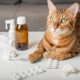 Domestic cat on the table with medicines for colds.